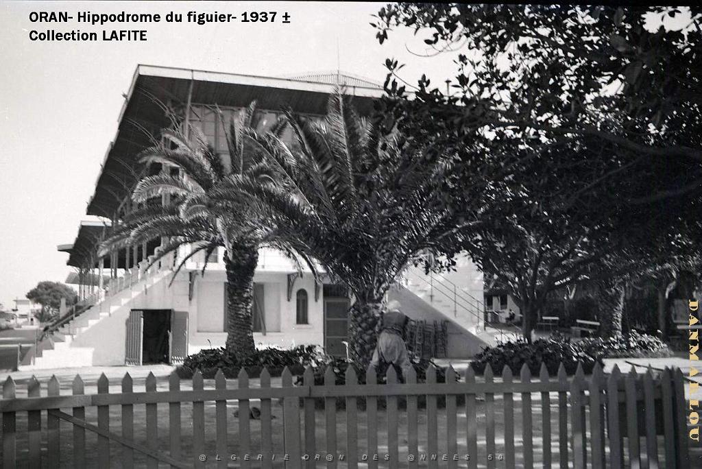 ORAN 1937 HYPPODROME DU FIGIER    (6).jpg